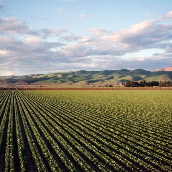 AGRICULTURAL CHALLENGES FACING LATIN AMERICA AND THE CARIBBEAN REGION #2