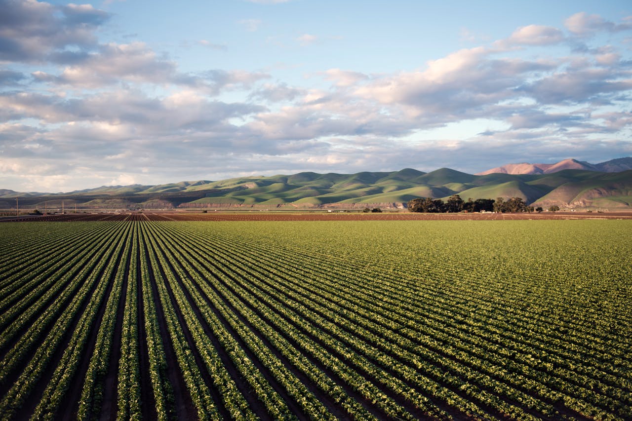 AGRICULTURAL CHALLENGES FACING LATIN AMERICA AND THE CARIBBEAN REGION