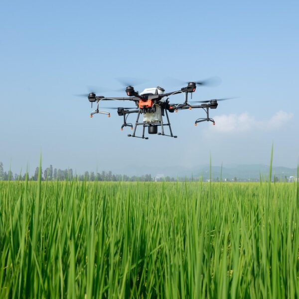 TECHNOLOGICAL EVOLUTION IN LATIN AMERICA AGRICULTURE